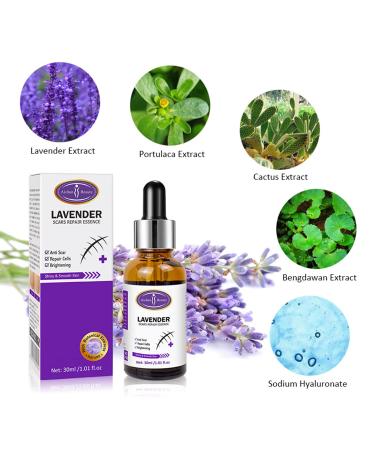 AICHUN BEAUTY Lavender Extract Scar Repair Essence | Anti-Scar Essential Oil for Smooth Skin | 30ml - Buy Online on GoSupps.com
