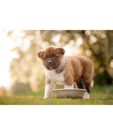 1250g Wet Dog Food for All Breeds Beef - Premium Quality (x20) - Buy Online on GoSupps.com