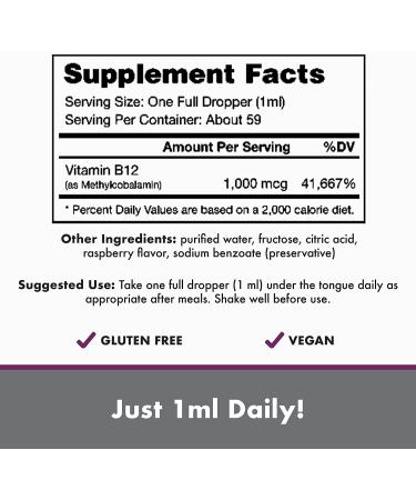 Bricker Labs B-12 Blast Methylcobalamin Liquid Supplement - Energy Support, Raspberry Flavor, 2 fl oz - Buy Online on GoSupps.com