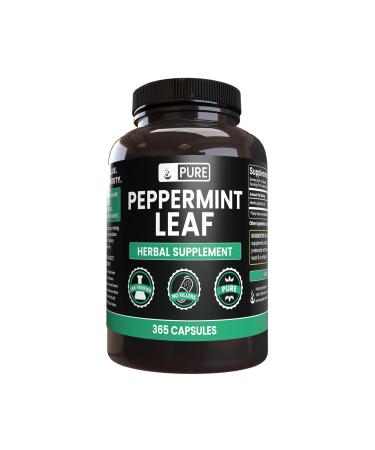 PURE ORIGINAL INGREDIENTS Peppermint Leaf (365 Capsules) No Magnesium Or Rice Fillers Always Pure Lab Verified 365 Count (Pack of 1)