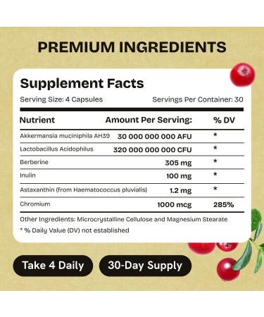 Akkermansia Muciniphila Probiotics 320 Billion CFU| Probiotic and Prebiotic | Akkermansia Probiotics for gut health | Inulin Prebiotic Fiber Capsules Astaxanthin & Berberine & Chromium | 120 capsules - Buy Online on GoSupps.com