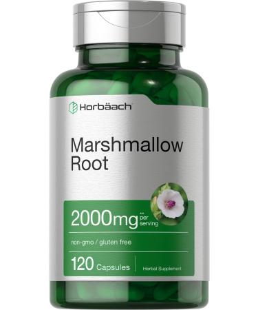 Marshmallow Root Capsules | 2000mg | 120 Count | Non-GMO & Gluten Free | Traditional Herb Extract | by Horbaach - Buy Online on GoSupps.com