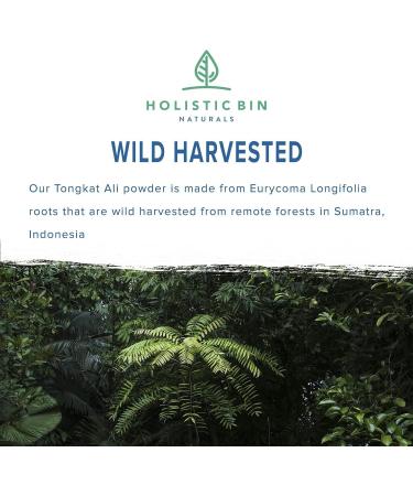 Buy Pure Indonesian Tongkat Ali Powder - Pharmaceutical Grade Longjack Extract | Wild Harvested Eurycoma Longifolia (50g) - No Fillers Fast International Shipping - Buy Online on GoSupps.com