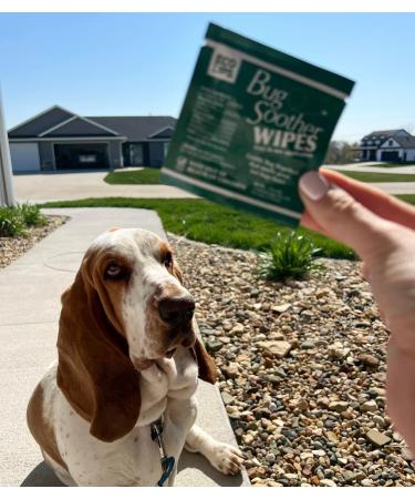 Bug Soother Wipes - Natural Insect Repellent Mosquito & Gnat Deterrent - 100% DEET-Free Safe for Adults Kids & Pets - Made in USA (15 ct - Buy Online on GoSupps.com