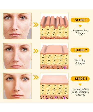 Bee Venom Skin Restoration Cream 2025 Upgrade Professional Bee Venom Repair Cream Wrinkle Care Formula educing The Appearance of Blemishes Natural Ingredients for All Skin Types (2Pcs) - Buy Online on GoSupps.com