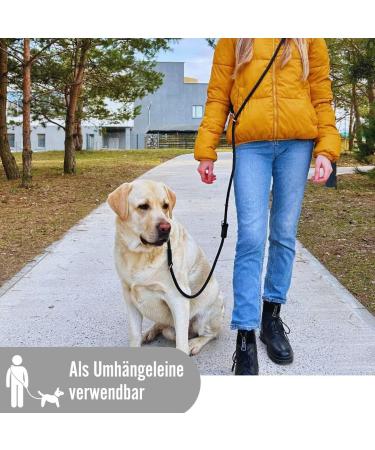 Pawhero Adjustable Dog Leash for Large & Medium Dogs | 2.5m | 5-Way Length Adjustable | Durable Nylon with 2 Carabiners | Black - Buy Online on GoSupps.com
