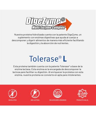 Beverly ISOLATE CFM | Lacprodan Whey Protein Isolate | 1 Kg | 6 Flavors (1 KG CHOCOLATE HAZELNUT) - Buy Online on GoSupps.com