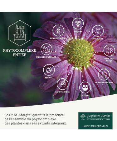 Dr. Giorgini Coneflower Complete Extract 200 Ml - Buy Online on GoSupps.com