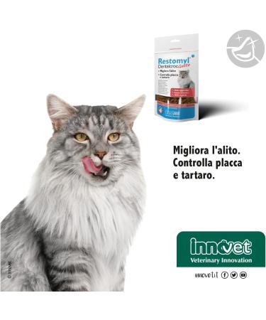 Innovet Restomyl Dentalcroc Improves Breath Controls Plaque and Tartar of Cats - Pack of 60 g - Buy Online on GoSupps.com