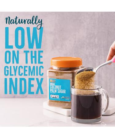 BetterBody Foods Organic Coconut Palm Sugar - Gluten-Free, Non-GMO, Low Glycemic Sugar Substitute - 1.5 lbs (24 Ounce) - Buy Online on GoSupps.com