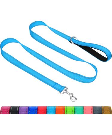 Taglory dog leash medium -sized large dogs light |Reflecting double -sided |Padded handle |Support 10 to 75 kg |1.2m x 2.5cm |Himmel blue 1.2 m x 2.5 cm (1 -pack) sky blue