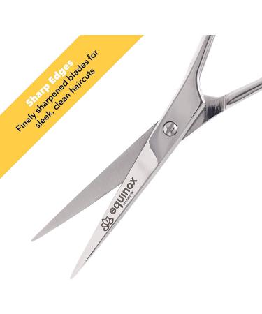 Equinox Professional Hair Scissors - 6.5 Barber Shears for Men and Women - Premium Ice Tempered Silver Shears for Salon and Home Use - Buy Online on GoSupps.com