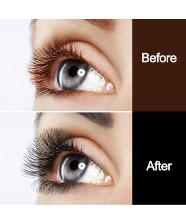 Professional 2-in-1 Eyelash & Eyebrow Color Kit - Long-Lasting DIY Hair Coloring for Salon & Home Use (Black 25ml - Buy Online on GoSupps.com
