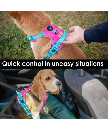Phoepet XL No Pull Dog Harness - Reflective Vest with Soft Training Handle | Pink Base & Green Straps for All Dog Sizes - Buy Online on GoSupps.com