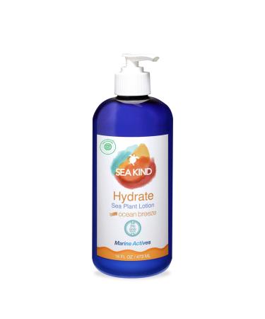 Sea Kind All Natural Hydrate Sea Plant Hand and Body Lotion for Women and Men  Ocean Breeze Essential Oil Scent 16 Fl Oz  Non Comedogenic  Vegan Moisturizer for Dry and Sensitive Skin  No Parabens