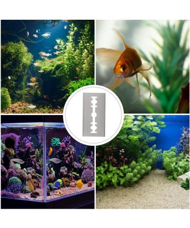 POPETPOP 10pcs Aquarium Glass Scrubber Refills Stainless Steel Razor Cleaner Right Angle Replacement for Aquarium Glass Fish Tank - Buy Online on GoSupps.com