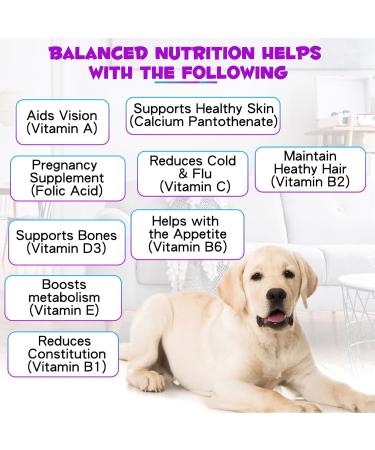 Dogs Vitamins and Supplements with Glucosamine & Cranberry 15 in 1 Multivitamins Supports Dogs Hip and Joint Immune Health Skin Coat Heart Health for Small Medium and Large Dogs - Buy Online on GoSupps.com