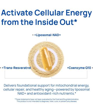 Selerb NAD+ Supplements for Men Nitric Oxide Prostate Health Supplements for Men with Resveratrol CoQ10 L Citrulline and Lycopene for Anti-Aging Stamina & Cellular Energy Support 60 Capsules 1 Bottle - NAD for Men - Buy Online on GoSupps.com