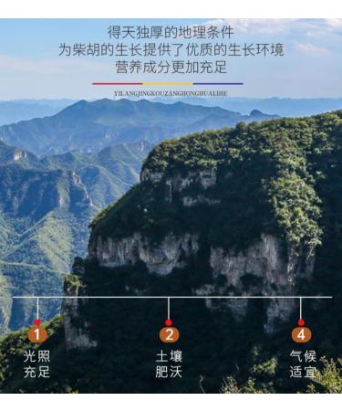  HQZMCTE Premium Quality Chinese Herbal Tea Bupleurum 250g / Bag Additive Free ChaiHu Root 8.81oz - Buy Online on GoSupps.com