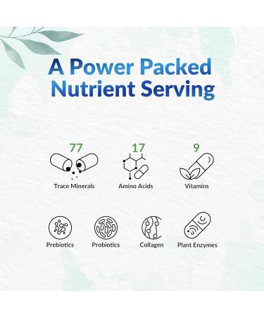 LeafSource SHILAJIT 120 vcap - 70% Fulvic and 30% Humic Acid Supports Healthy Bones and Naturally contains Trace Minerals Amino Acids and Vitamins 3rd Party Tested (previously Humic-Fulvic Acid) 120 count (Pack of 1) - Buy Online on GoSupps.com