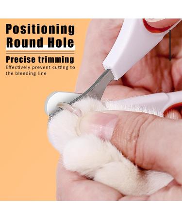 Tinkber 2-Pack Cat Nail Clippers - Stainless Steel Round Pet Nail Shears for Cats Puppies & Small Dogs - Blue & Orange - Buy Online on GoSupps.com