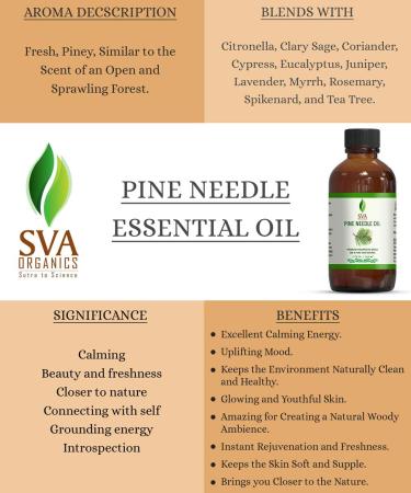 SVA ORGANICS Pine Needle Essential Oil 4 OZ - 100% Pure Therapeutic Grade for Skin & Hair Care - Buy Online on GoSupps.com