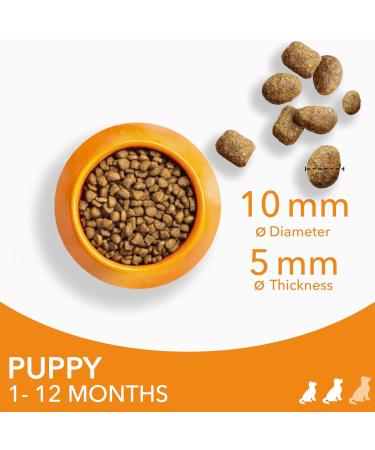 IAMS Complete Dry Dog Food for Puppy Small and Medium Breeds with Chicken 3 kg Small & medium breeds (&lt 25 kg) Chicken 3 kg (Pack of 1) - Buy Online on GoSupps.com