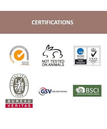 Buy Gloss! Makeup Palette - Eyes & Face with 2 Shadow Correctors | International Shipping Available - Buy Online on GoSupps.com