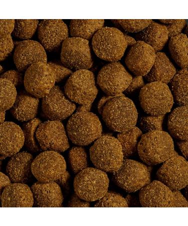 Eggersmann Carnebello - 12.5 kg Dog Food Dry Dog Food with Beef and Potatoes - Dry Food for Adult Dogs with Normal Energy Needs - Buy Online on GoSupps.com