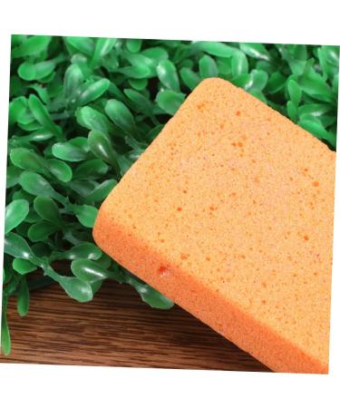 Beavorty 4pi ces Pierre Pour P dicure Exfoliante Outil De Polissage Pour liminer Les Peaux Mortes Lot De Pierres Ponces 1 unit (Lot de 1) Comme Montr  - Buy Online on GoSupps.com