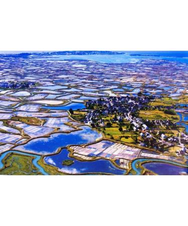 Sel De Guerande Celtic Sea Salt Fine Shaker 250g - Buy Online on GoSupps.com