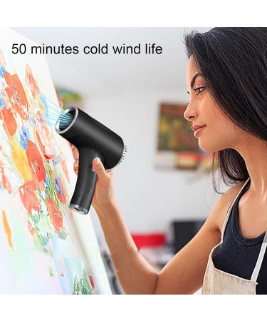Hair Dryer Portable Negative Ionic Hair Dryer for Home (#2) - Buy Online on GoSupps.com
