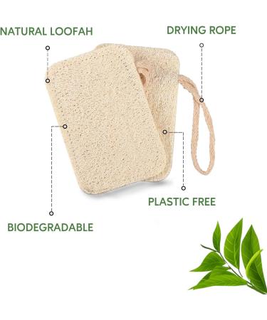 Eco-Friendly Eplanita Natural Dishes Ruts (6-Pack) - Biodegradable Kitchen Scrub Scourer | Zero Waste Luffa Plant - Buy Online on GoSupps.com