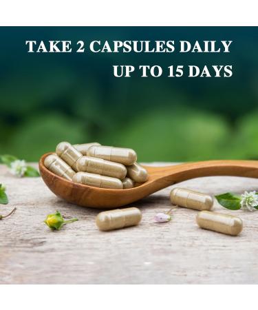 15 Day Cleanse - Advanced Gut Detox for Men & Women | Non-GMO Colon Support | 30 Capsules - Buy Online on GoSupps.com