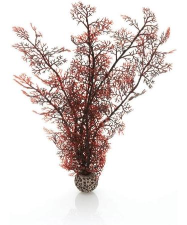 Buy Medium-Sized Dark Red biOrb Horn Corals | Aquarium Decoration Set M - Ship Worldwide - Buy Online on GoSupps.com