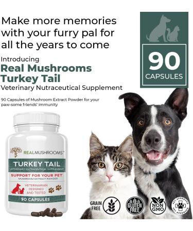 Turkey Tail Pet Support - Vet-Approved Dog Multivitamins for Immune & Gut Health (90ct) - Buy Online on GoSupps.com