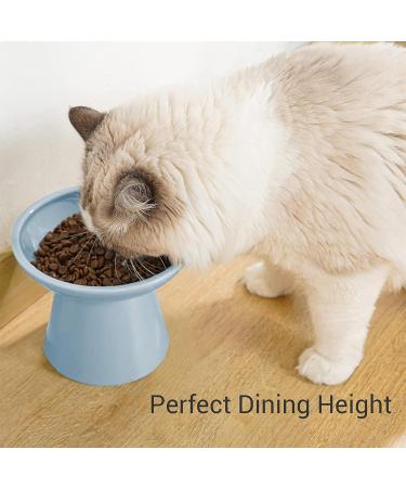 CEEFU Extra Wide Elevated Cat Bowls - Ceramic Cat Food Bowl 6.2" Raised Cat Food Bowls Elevated Shallow Cat Food Dish Whisker Fatigue Lead & Cadmium Free 5" Good Height for Cat Feeding Blue Baby Blue - Buy Online on GoSupps.com