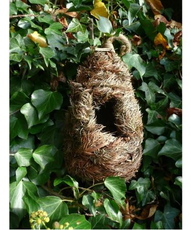 Wildlife World Tall Roosting Nest Pocket - Natural Single - Buy Online on GoSupps.com