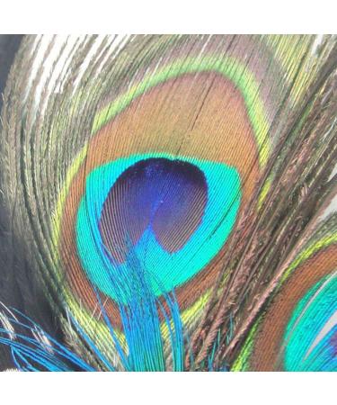 Charming Peacock Feather Hair Clip | Retro Party Accessory & Bridesmaid Gift | Stylish Hair Accessory (10-15 cm) - Buy Online on GoSupps.com