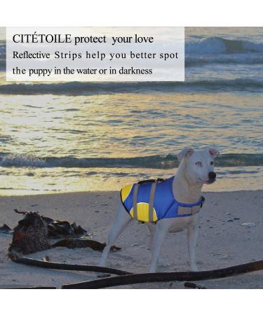 Shop Cit toile Dog Life Jacket (Small) - Reflective Durable & Buoyant - Perfect for Swimming & Water Sports - Blue - Buy Online on GoSupps.com