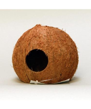 JBL 61512 Cocos Cava Coconut Shell Cave for Aquariums & Terrariums - Natural Hideout for Fish & Reptiles - Buy Online on GoSupps.com