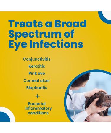 Terramycin Antibiotic Ointment for Eye Infections in Dogs, Cats, Cattle, Horses & Sheep - 0.125oz Tube - Buy Online on GoSupps.com