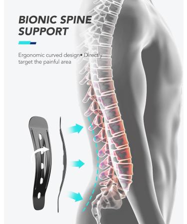 Fitomo Back Support Belt for Men and Women - Ergonomic Spine Curve Support with Carbon Fibre Splints - XXL Size - Relieve Lower Back Pain, Improve Posture, and Support Heavy Lifting - Buy Online on GoSupps.com