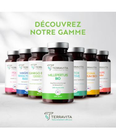 St. John's Wort Organic | 120 Capsules of 350 mg | 100% Flowered Tops Rich in Active Principles | Repairing Sleep - Good Mood - Anti-Stress | 100% Vegan Without Excipients | Made in France | Terravita - Buy Online on GoSupps.com
