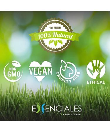  Essenciales Essenciales - 100% Pure Virgin Raspberry Vegetable Oil 100ml | Rubus Idaeus Vegetable Oil First Cold Pressed - Buy Online on GoSupps.com