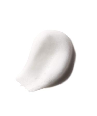 FIBER GROOMING FOAM 6.7 oz - Buy Online on GoSupps.com