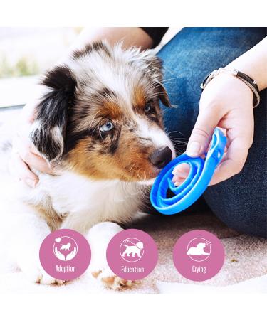 ADAPTIL Junior Calming Collar for Puppies - Reduce Crying & Whining and Improve Focus & Learning Dog Appeasing Pheromone Collar - (Puppy Calming Collar 1 Month Single Pack) - Buy Online on GoSupps.com