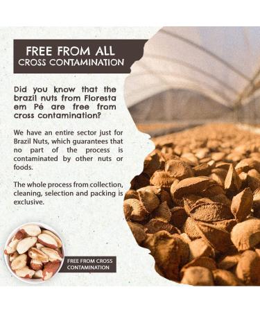 Organic Premium Brazil Nuts 1LB (Pack of 2) - Raw, Fresh, Whole, Unsalted - Non-GMO, Keto Friendly, Vegan, Kosher - Sustainably Harvested & Certified Organic - Buy Online on GoSupps.com