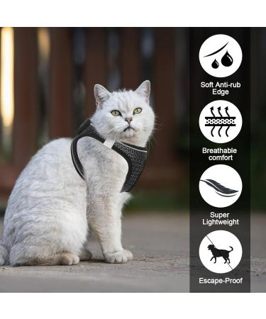 Shop Lollanda XS Black Cat Dishes with Leash | Adjustable Soft Kitten Vest with Reflective Strip - Perfect for Kittens! - Buy Online on GoSupps.com