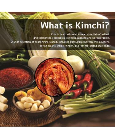 HOXY Journey of Korea Kimchi Seasoning Mix 3.5 oz - ORIGINAL Spicy Seasoning Mix  Rich in Probiotics  Vegan  Gluten Free  NON- GMO  BBQ Dry Rub for Chicken  Pork  Seafood & Vegetables (3.5Oz (Pack of 1)) - Buy Online on GoSupps.com